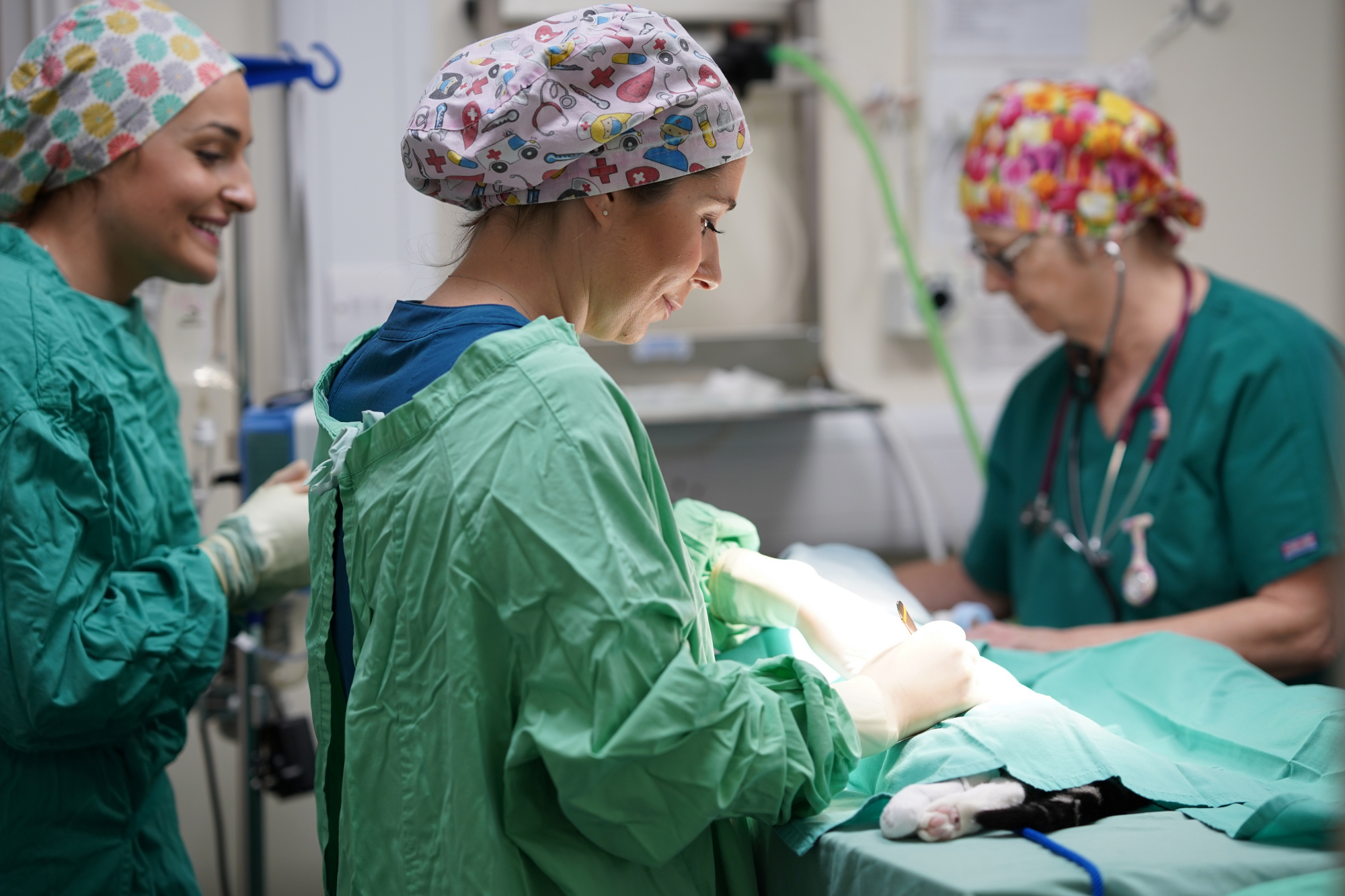 Veterinary Surgeon – East Grinstead