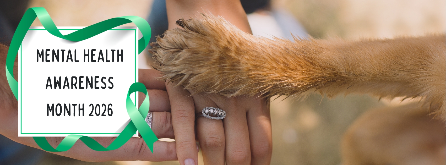 You Look After Them While They’re Alive. Who Looks After You When They’re Gone?