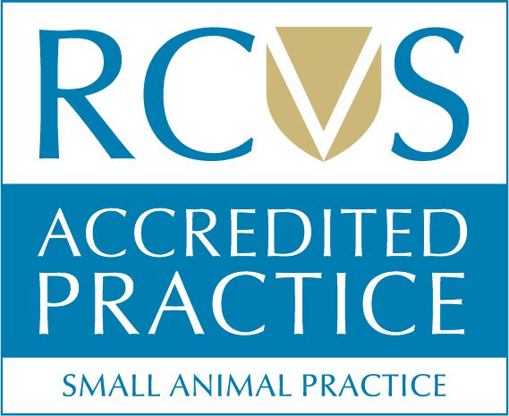 Partner Logo