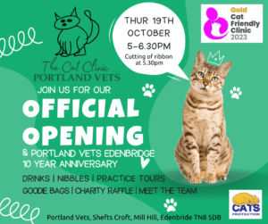 cat clinic official opening
