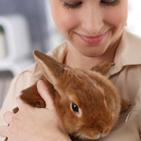 Laura shares a simple home check for overweight rabbits